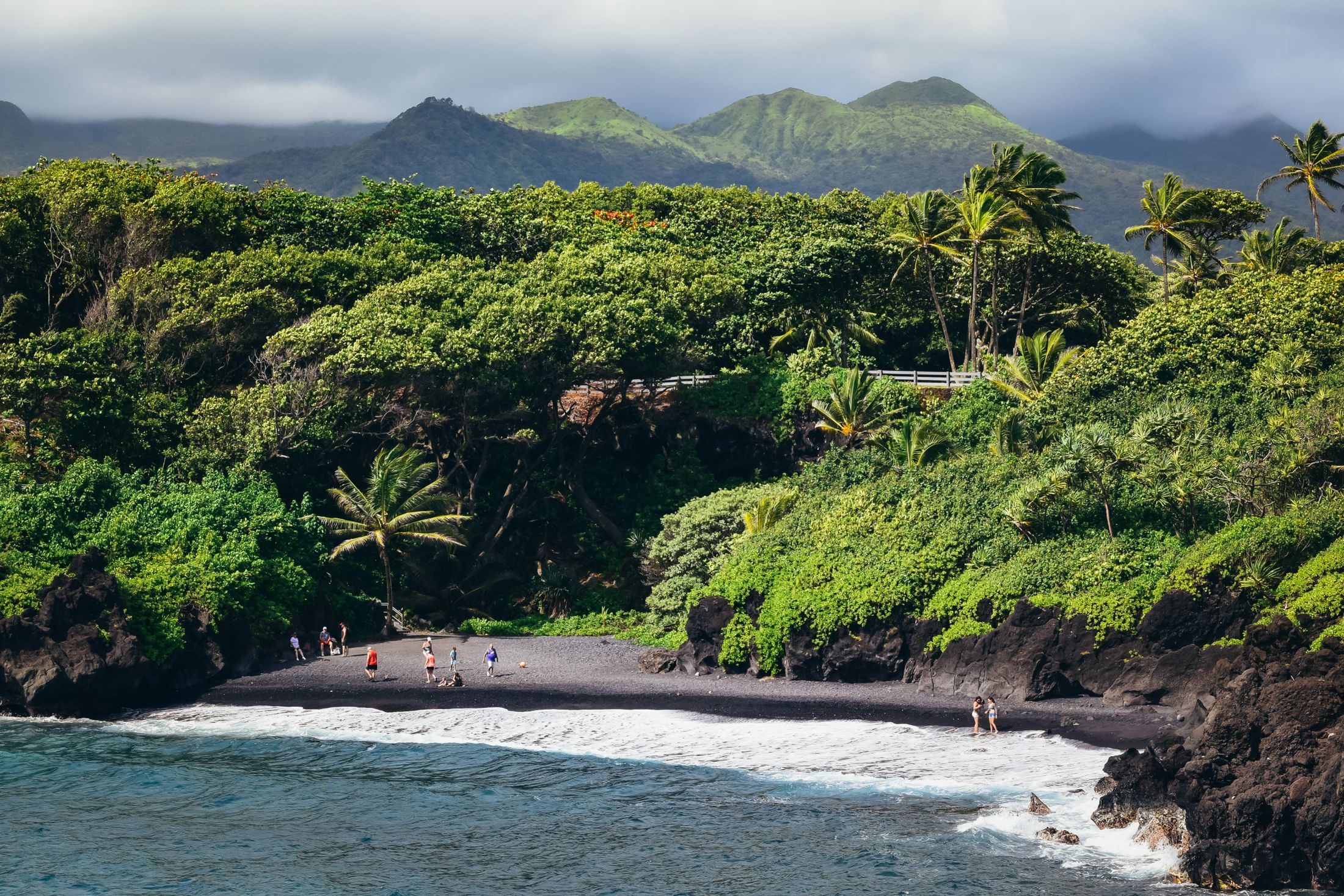 A black sand coastline framed by palms and green tropical mountains
