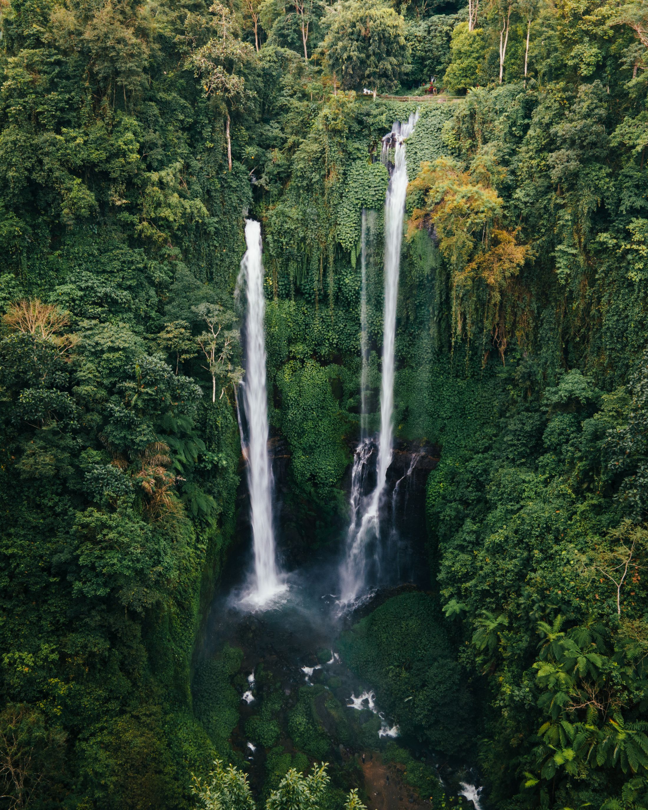 Waterfalls flowing through a lush tropical forest in Bali